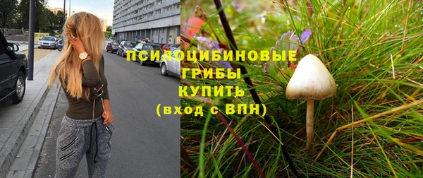 марки nbome Аркадак
