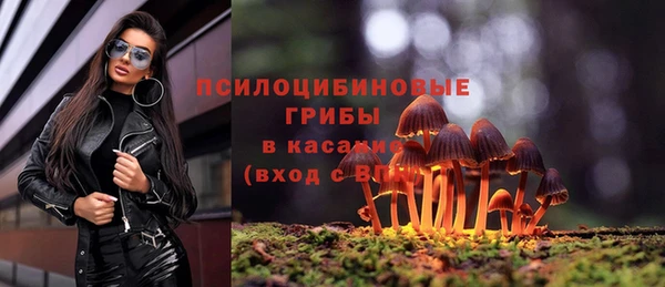ECSTASY Заволжск
