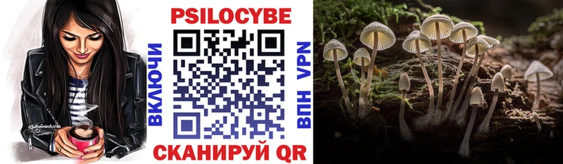 Галлюциногенные грибы мухоморы  Белозерск 